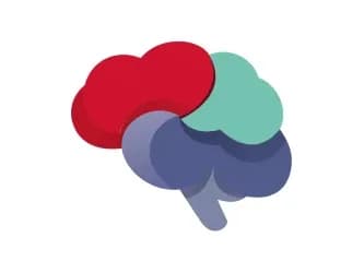 Encephalitis International