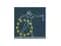 European Association of Plastic Surgeons