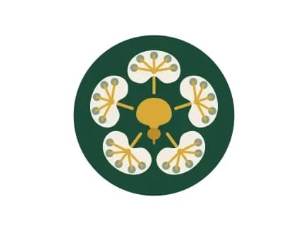 Yorkshire Urology Audit Group