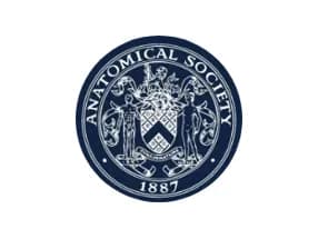 Anatomical society