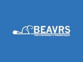 BEAVRS